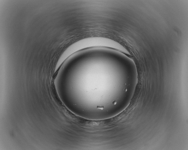 X0000112480129200908241302