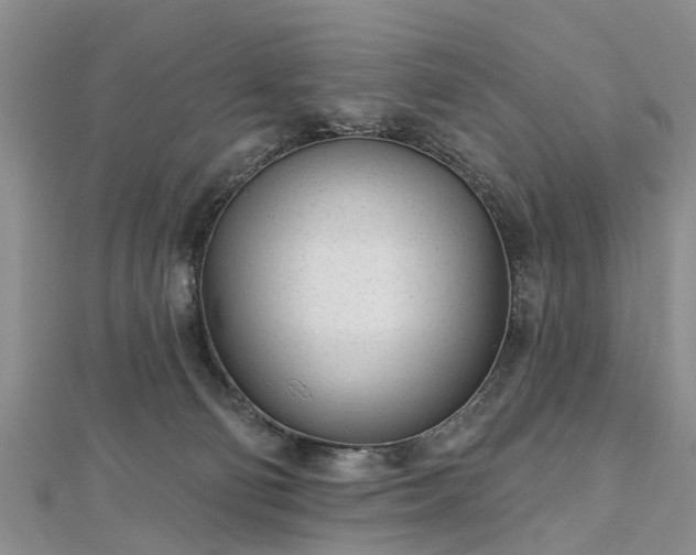 X0000112480130200908241302