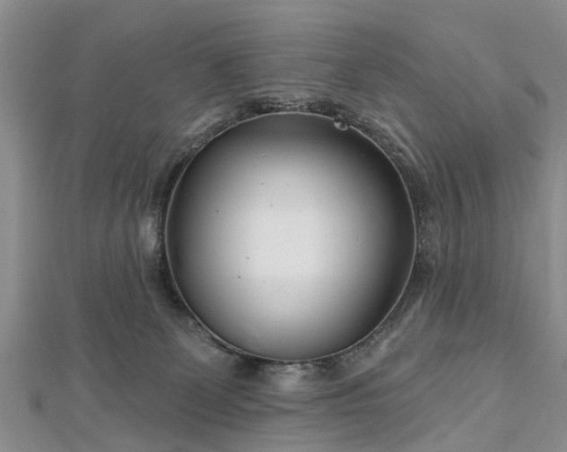 X0000112480131200908241302