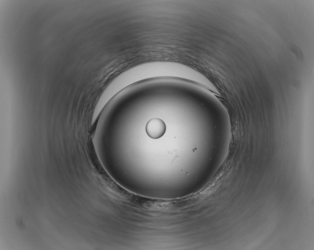 X0000112480132200908241302