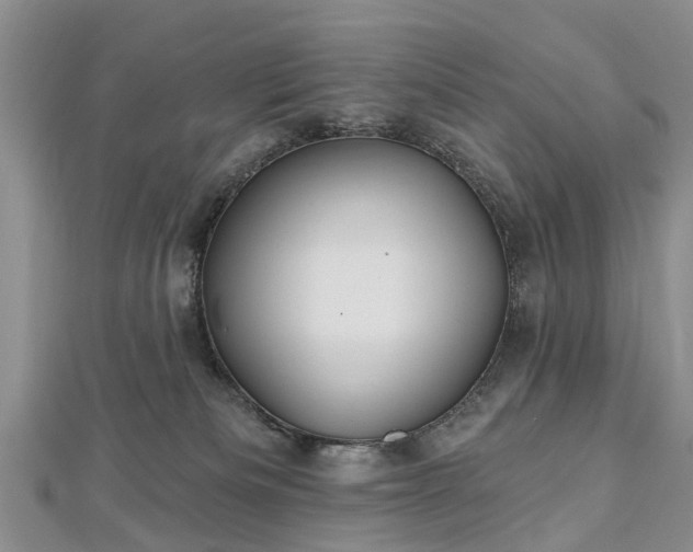 X0000112480133200908241302