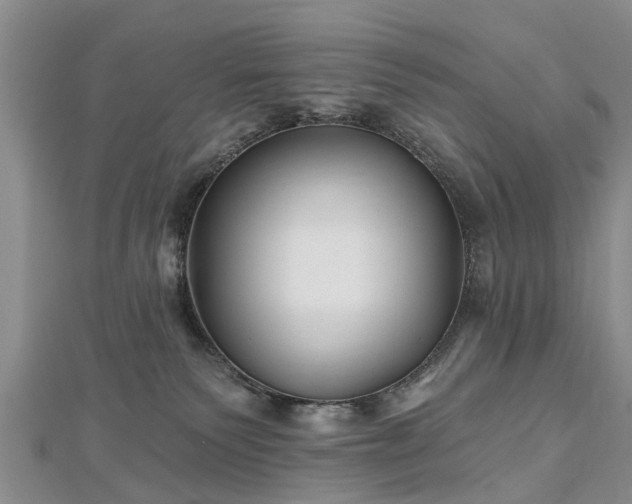 X0000112480135200908241302