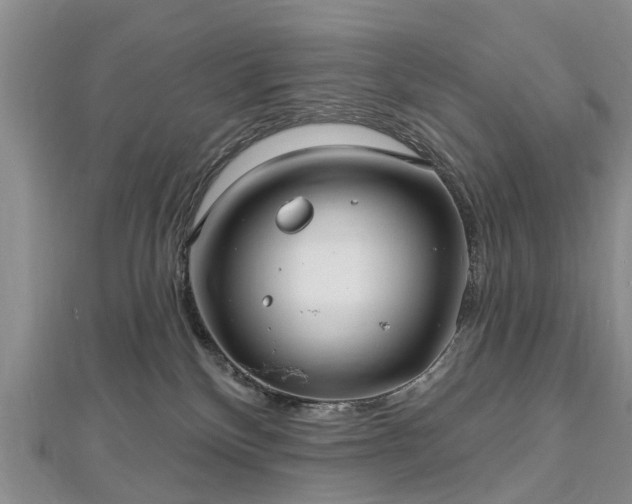 X0000112480136200908241302