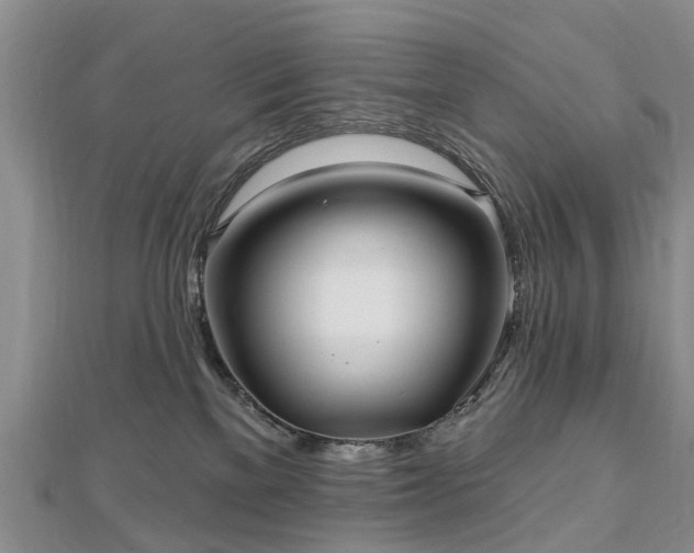 X0000112480137200908241302