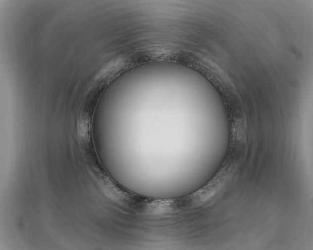 X0000112480138200908241302