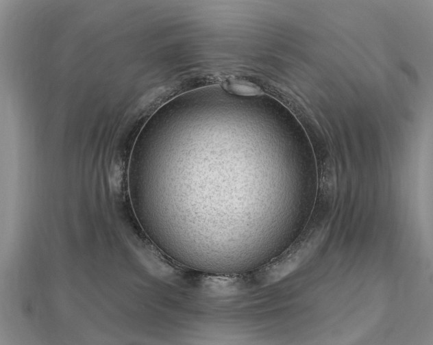 X0000112480139200908241302