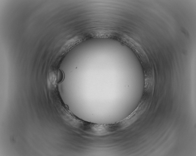 X0000112480142200908241302