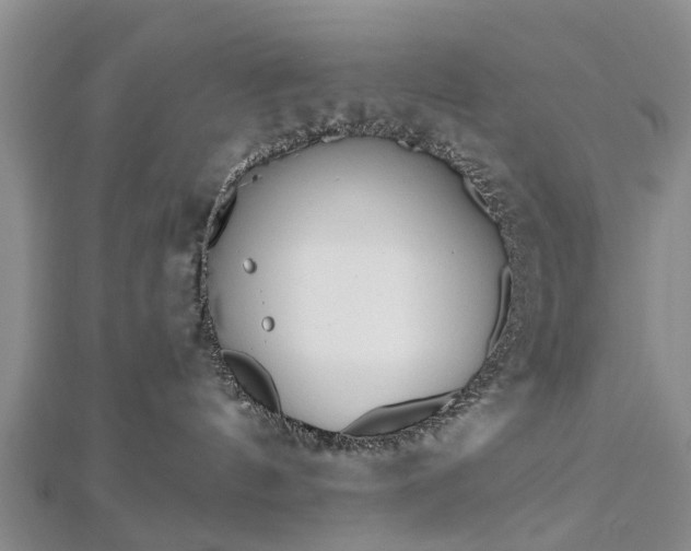 X0000112480144200908241302