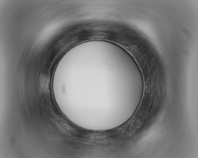 X0000112480146200908241301