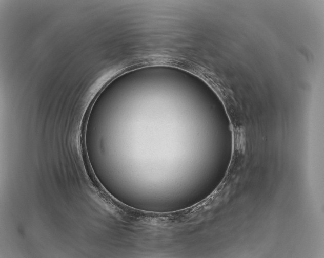 X0000112480147200908241301