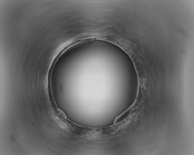 X0000112480148200908241301