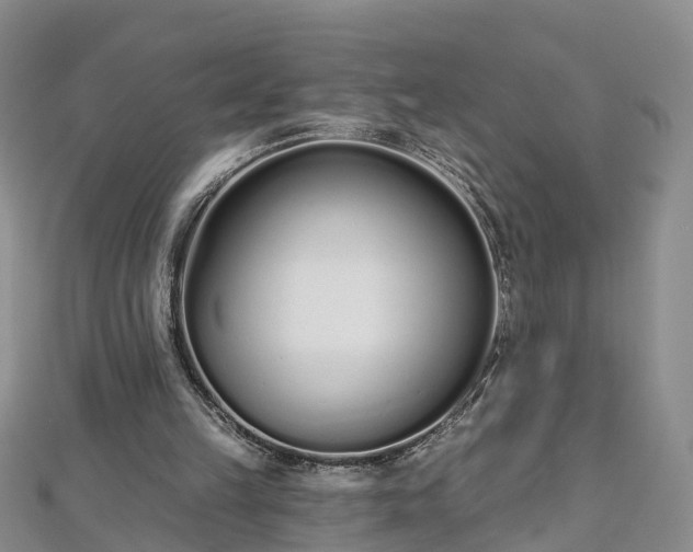 X0000112480149200908241301