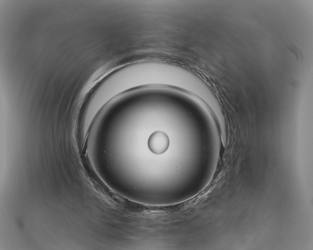 X0000112480150200908241301