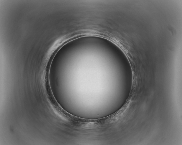 X0000112480151200908241301