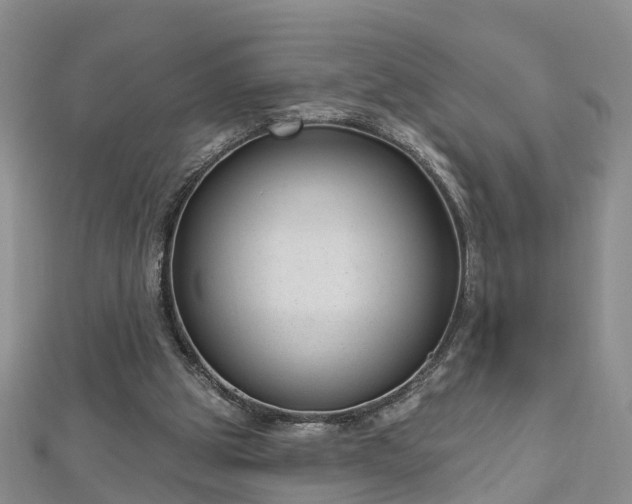 X0000112480153200908241301