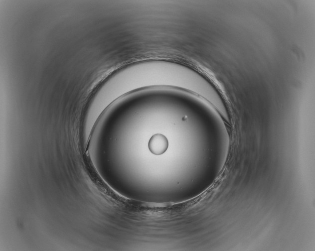 X0000112480154200908241301