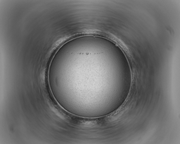 X0000112480155200908241301