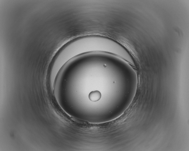 X0000112480156200908241301