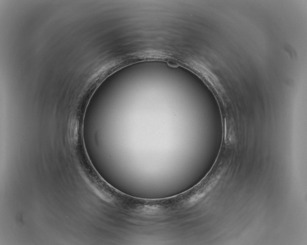 X0000112480157200908241301