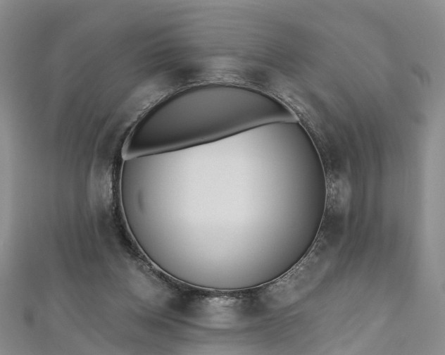 X0000112480158200908241301