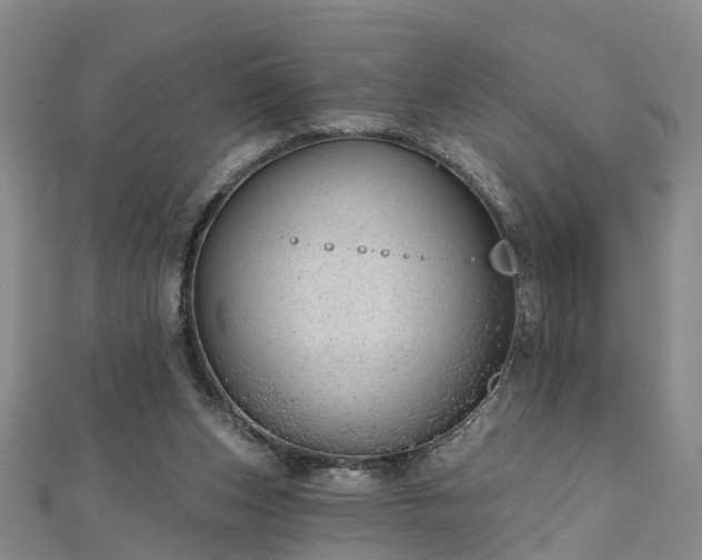 X0000112480159200908241301