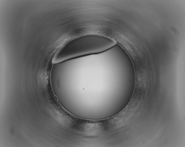 X0000112480160200908241301