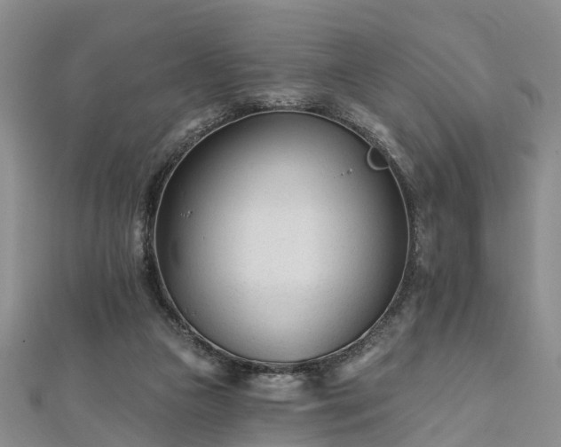 X0000112480161200908241302