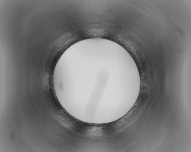 X0000112480162200908241302