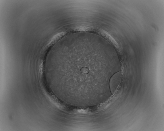 X0000112480163200908241302