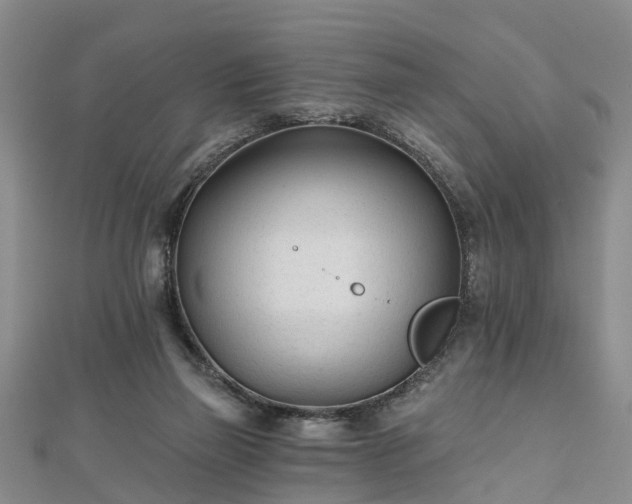 X0000112480165200908241302