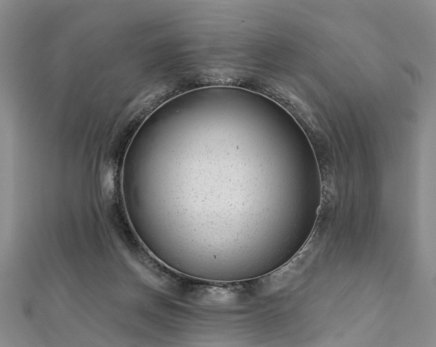 X0000112480166200908241302