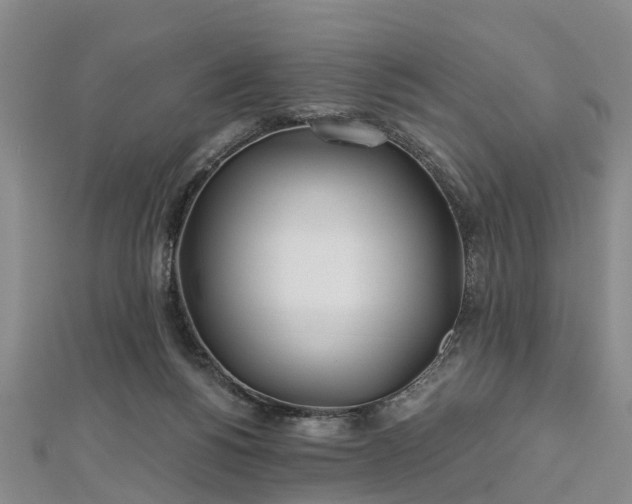 X0000112480168200908241302