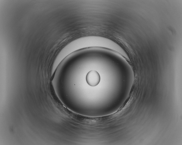 X0000112480170200908241302