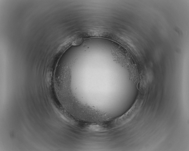 X0000112480171200908241302
