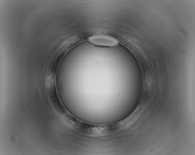 X0000112480172200908241302