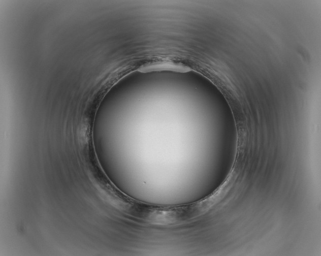 X0000112480174200908241302