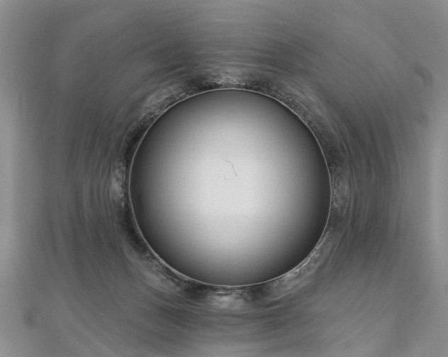 X0000112480175200908241302