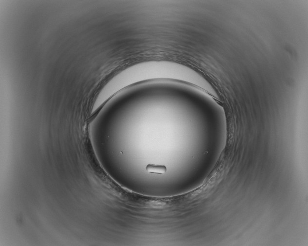 X0000112480176200908241302