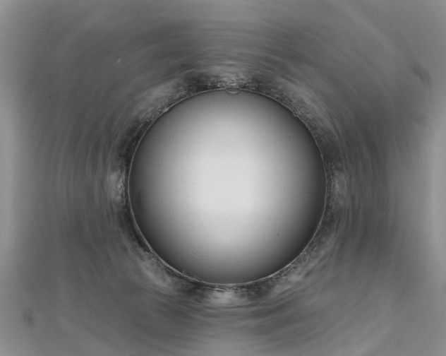 X0000112480177200908241302