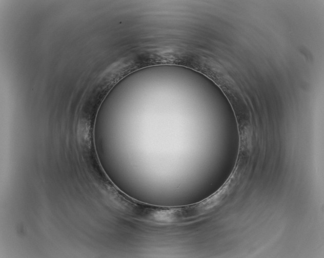 X0000112480178200908241302