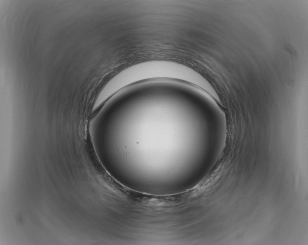 X0000112480180200908241302