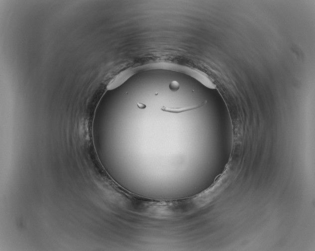 X0000112480182200908241302