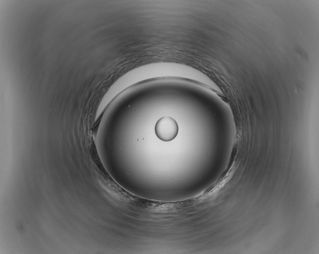 X0000112480186200908241302