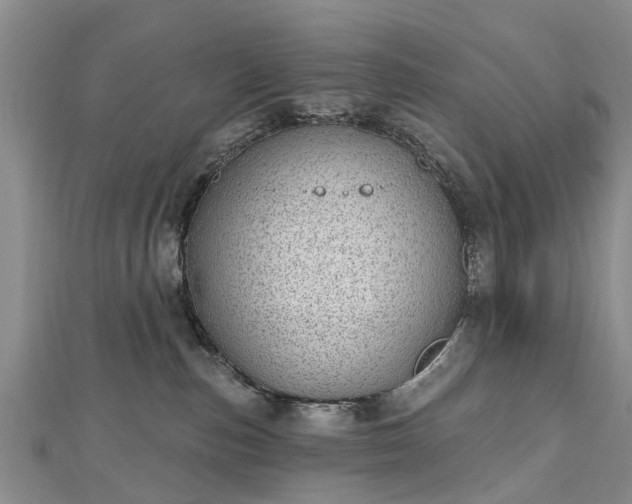 X0000112480187200908241302