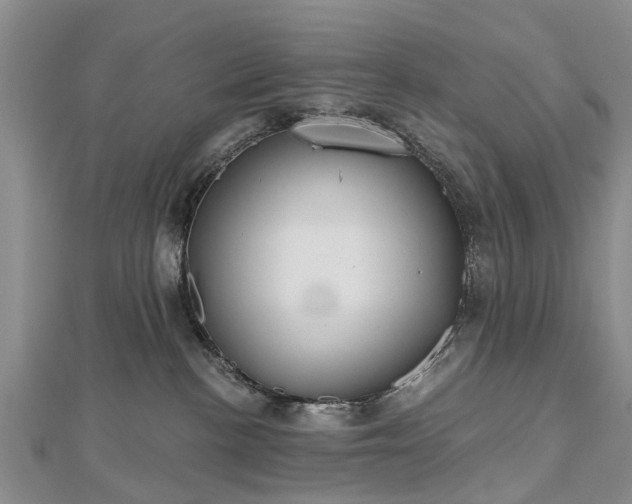 X0000112480188200908241302