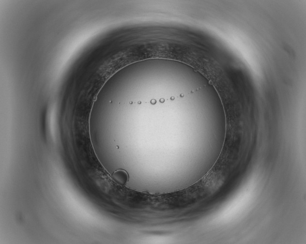 X0000112480189200908241302