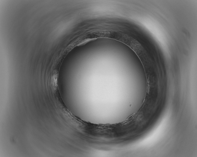 X0000112480190200908241302