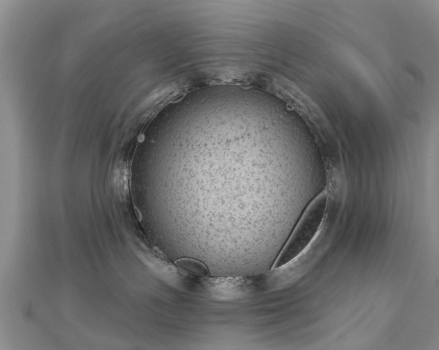 X0000112480191200908241302