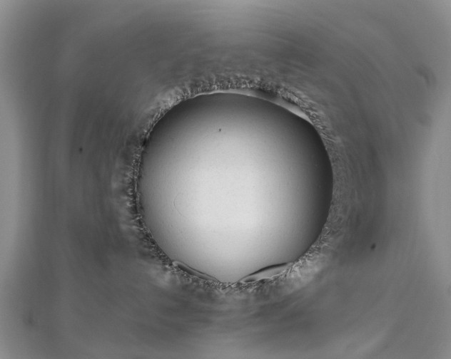 X0000112480192200908241302