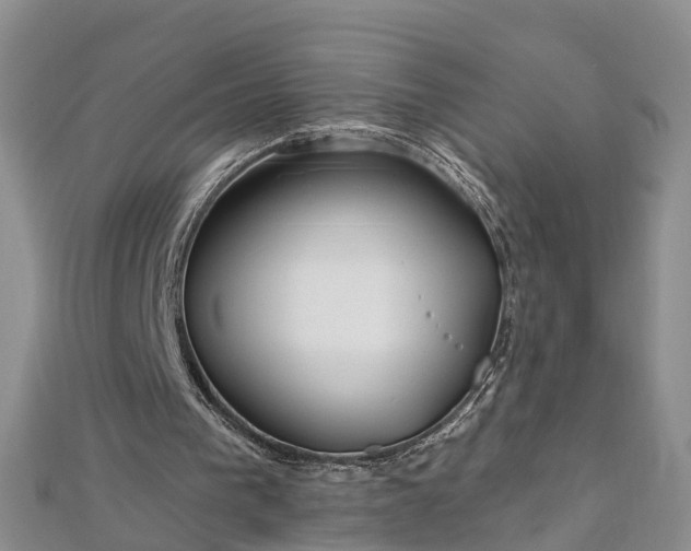 X0000112480193200908241301